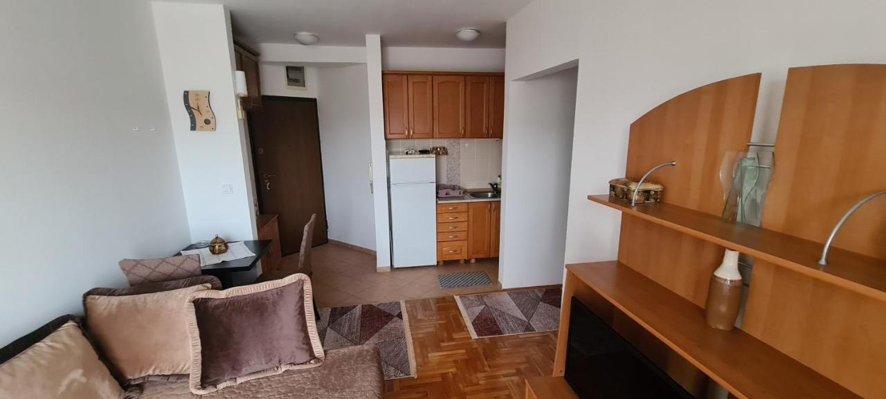 Apartman Velimir Stari Aerodrom ポドゴリツァ エクステリア 写真